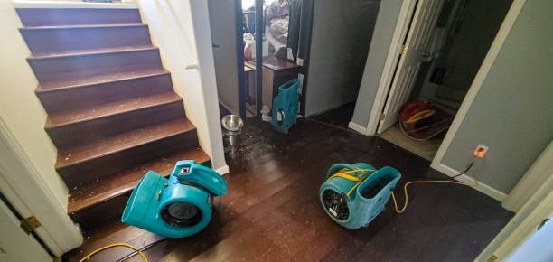 Best Local water damage restoration  in Portland, IN