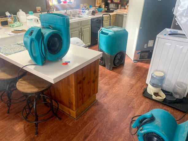 Best Professional water damage repair  in Portland, IN
