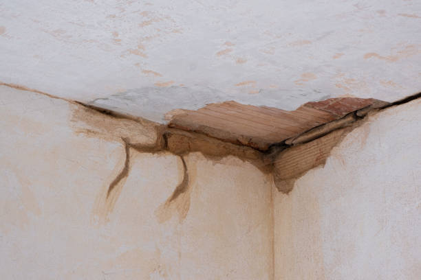 Best Water damage restoration near me  in Portland, IN