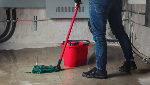 Best 24-hour water damage restoration  in Portland, IN