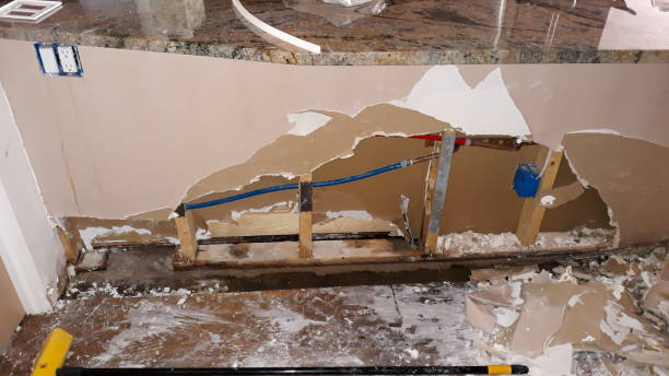Best Flood damage cleanup  in Portland, IN