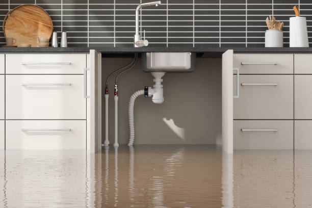 Best Emergency water damage restoration  in Portland, IN