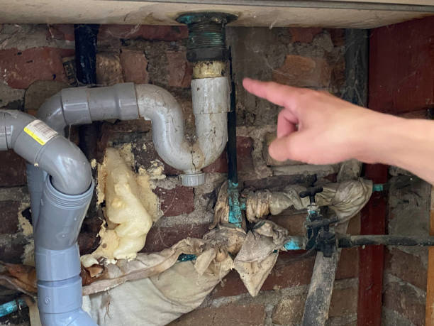 Best Basement water damage restoration  in Portland, IN