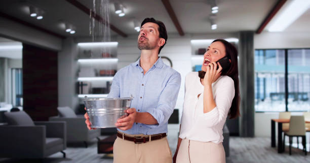Best Ceiling water damage repair  in Portland, IN