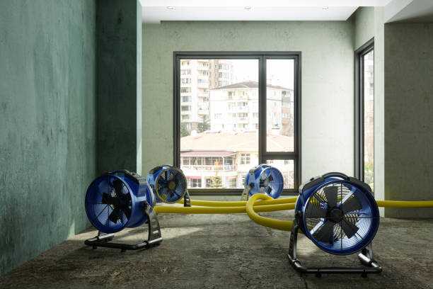 Best Residential water damage restoration  in Portland, IN